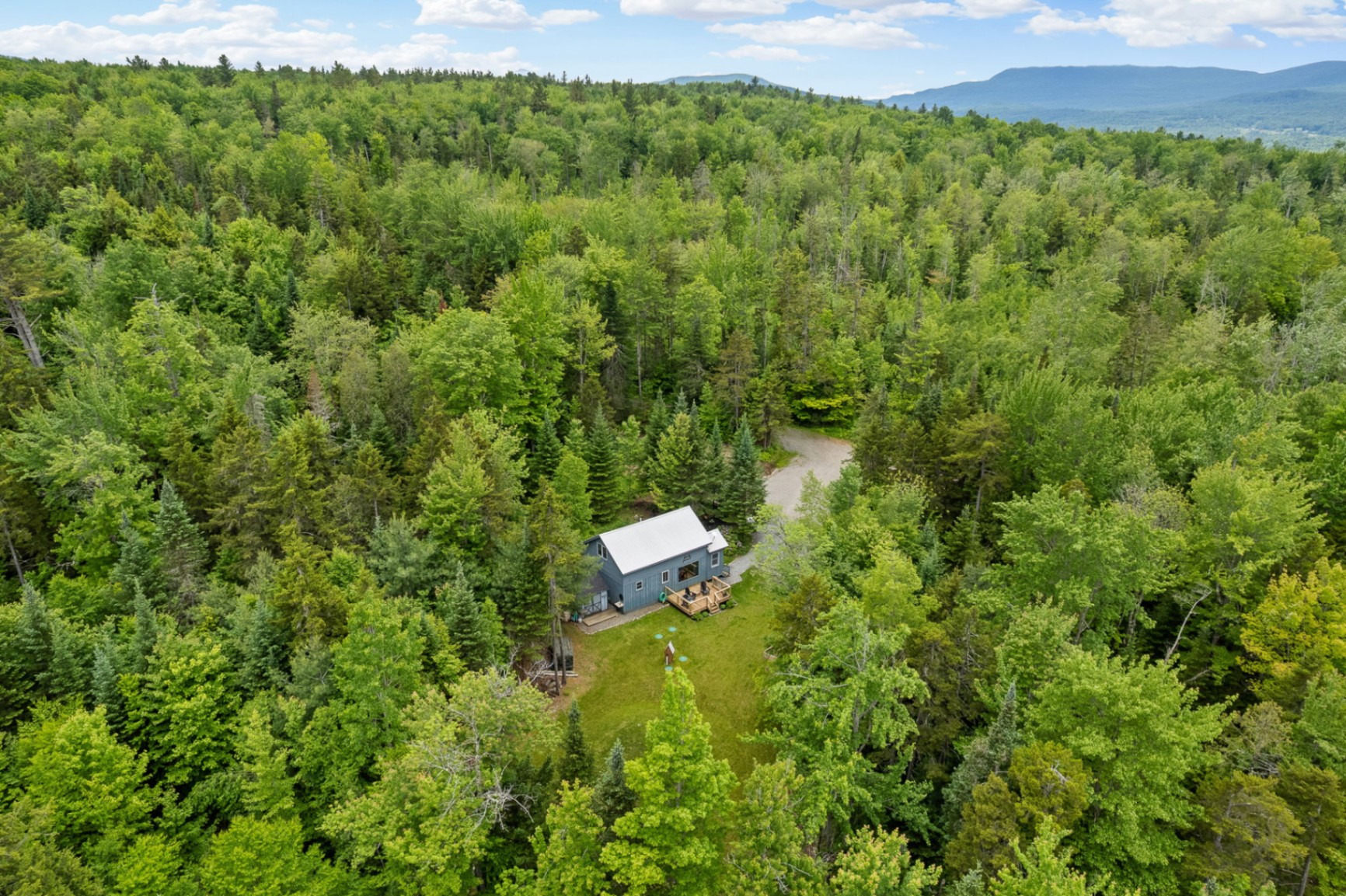 Modern wooden cabin with green door in a snowy Vermont forest during snowfall